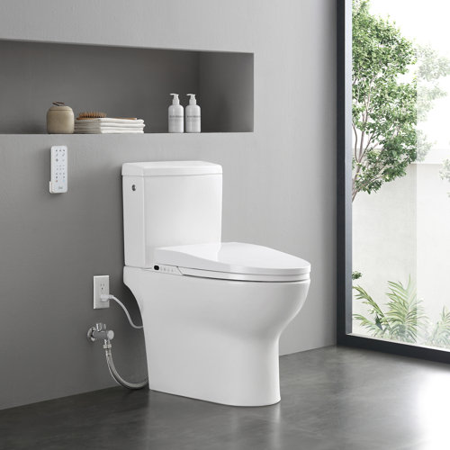 Ove Decors 1.27 GPF Elongated Chair Height Floor Mounted Bidet Toilet
